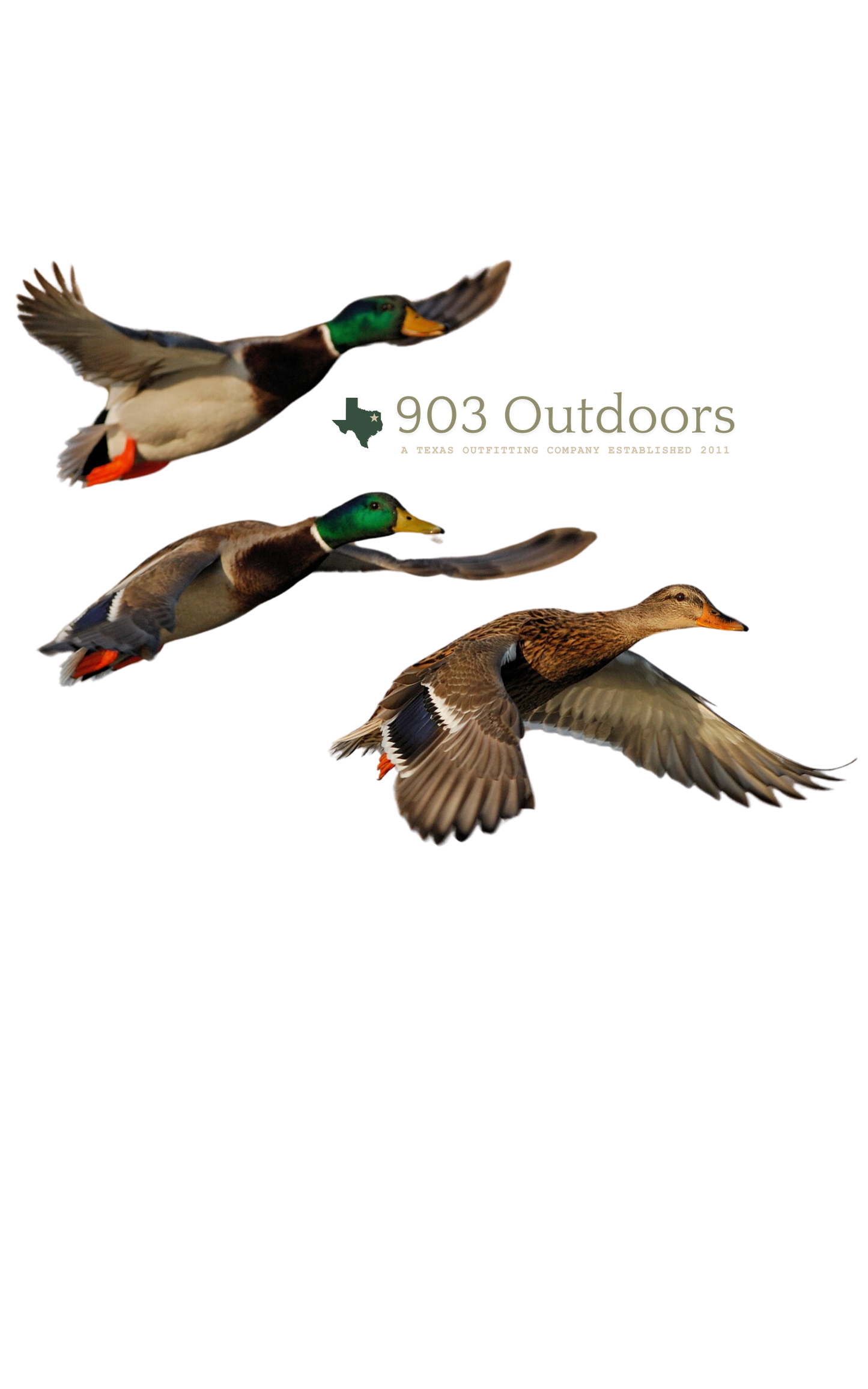 903- Flying Ducks Tee