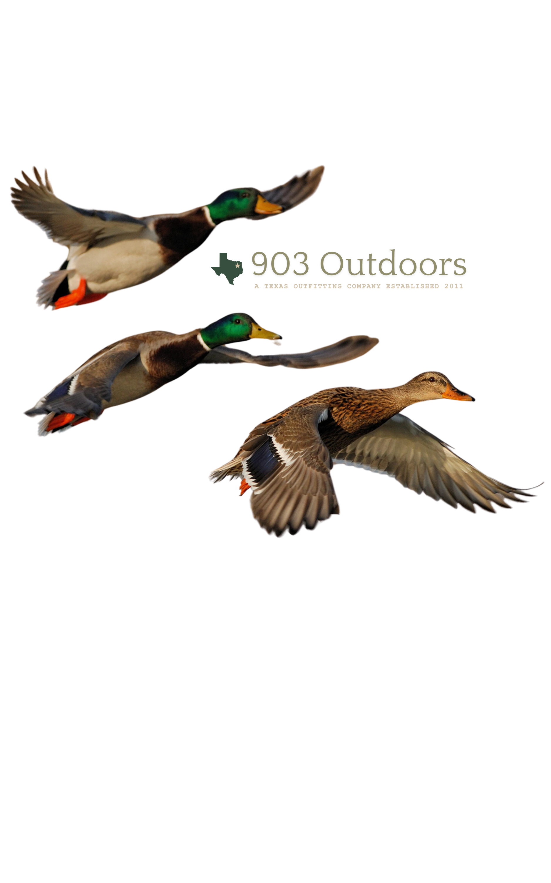 903- Flying Ducks Tee